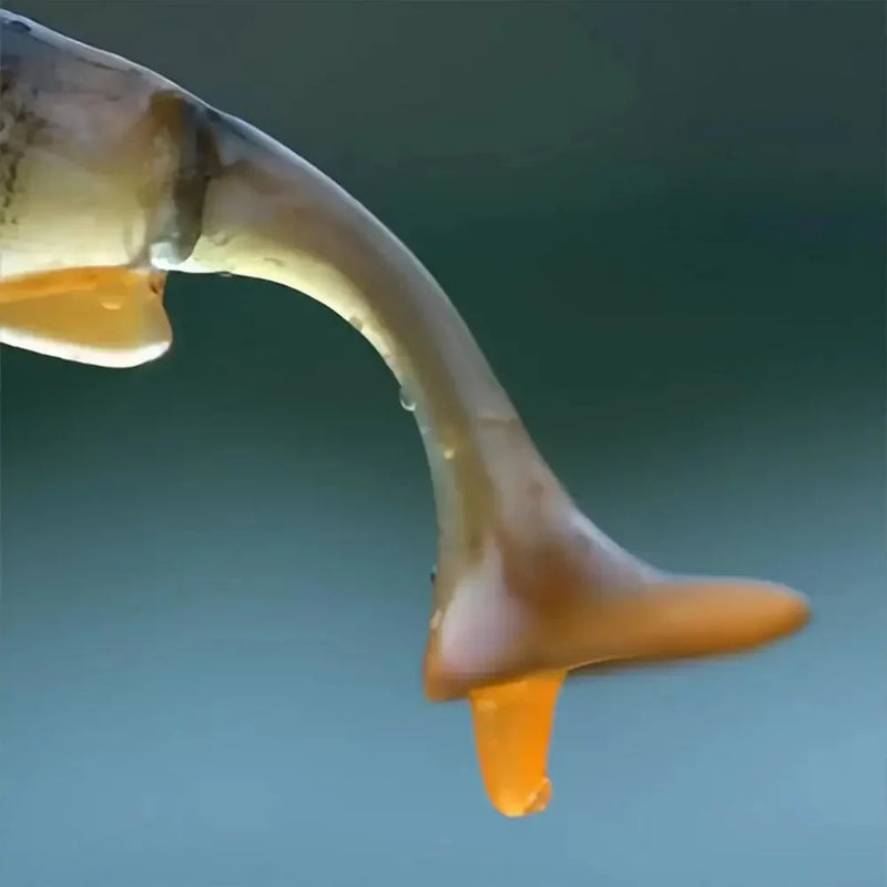 Isca Articulada Atrativa Febre nos Estados Unidos | 4 unidades | Pescando Online